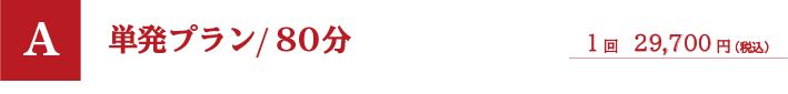 単発プラン