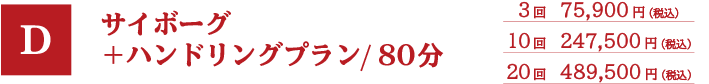 サイボーグ＋ハンドリングプラン